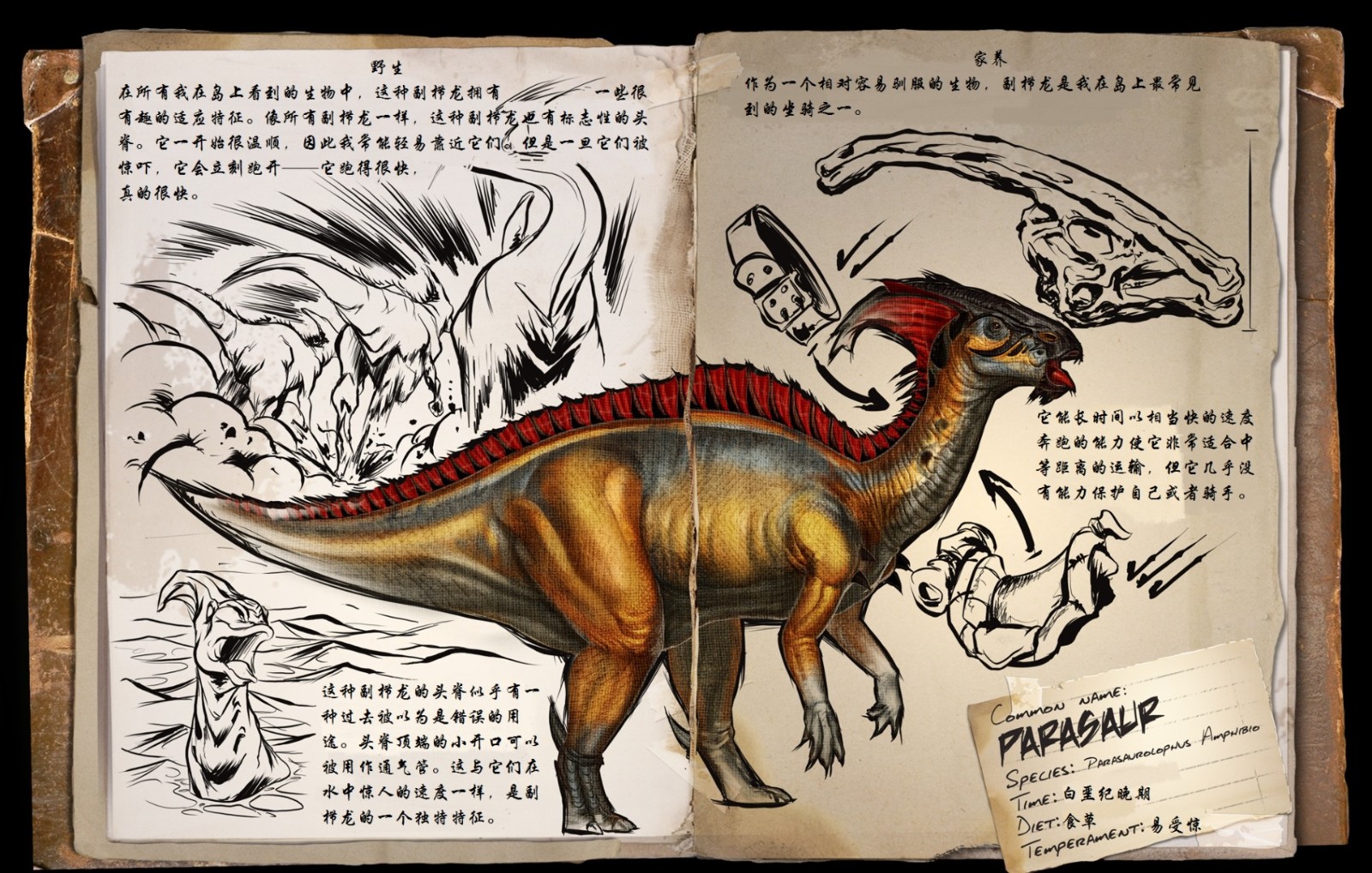 恐龙岛怎么进化不了成年龙 恐龙岛怎么进化不了成年龙