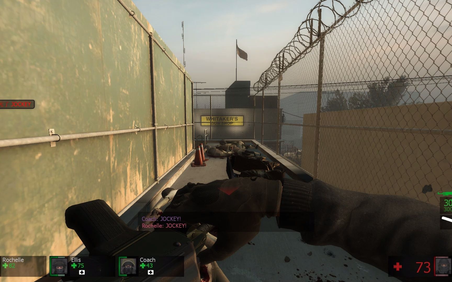 求生之路2特感资料怎么删除 求生之路2特感资料怎么删除