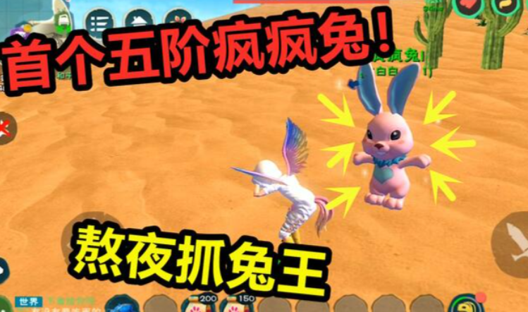 创造与魔法疯疯兔在哪