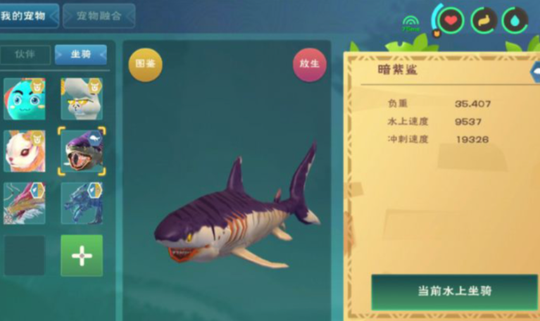 创造与魔法水上坐骑哪个最容易抓