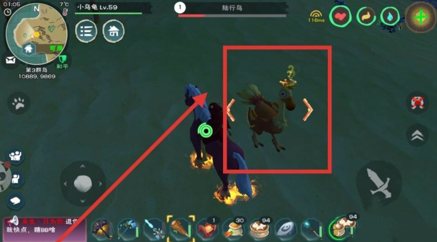 创造与魔法陆行鸟吃什么饲料