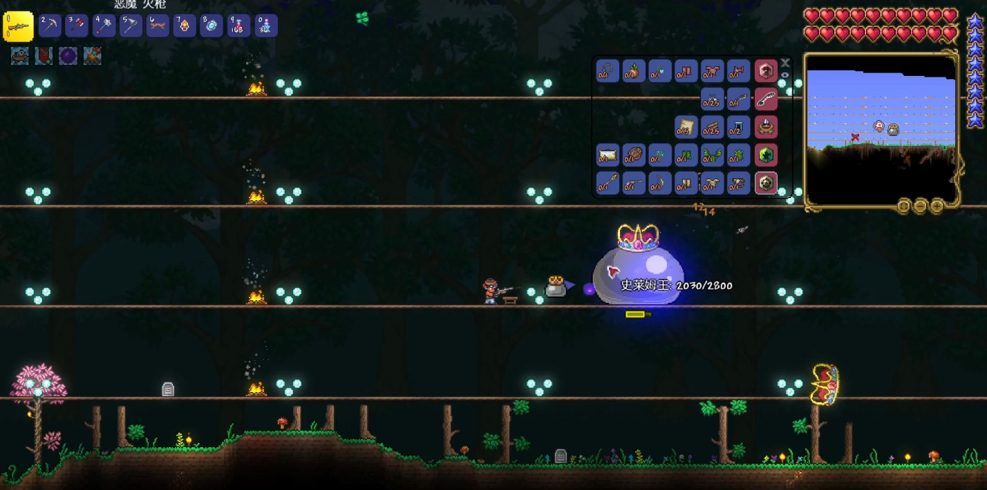 泰拉瑞亚如何有宠物 泰拉瑞亚如何有宠物