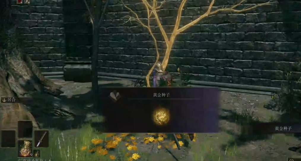 艾尔登法环新手怎么玩