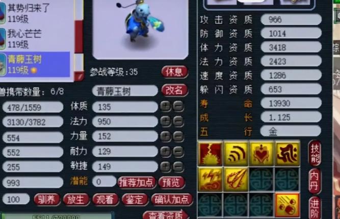 梦幻西游法宠有什么