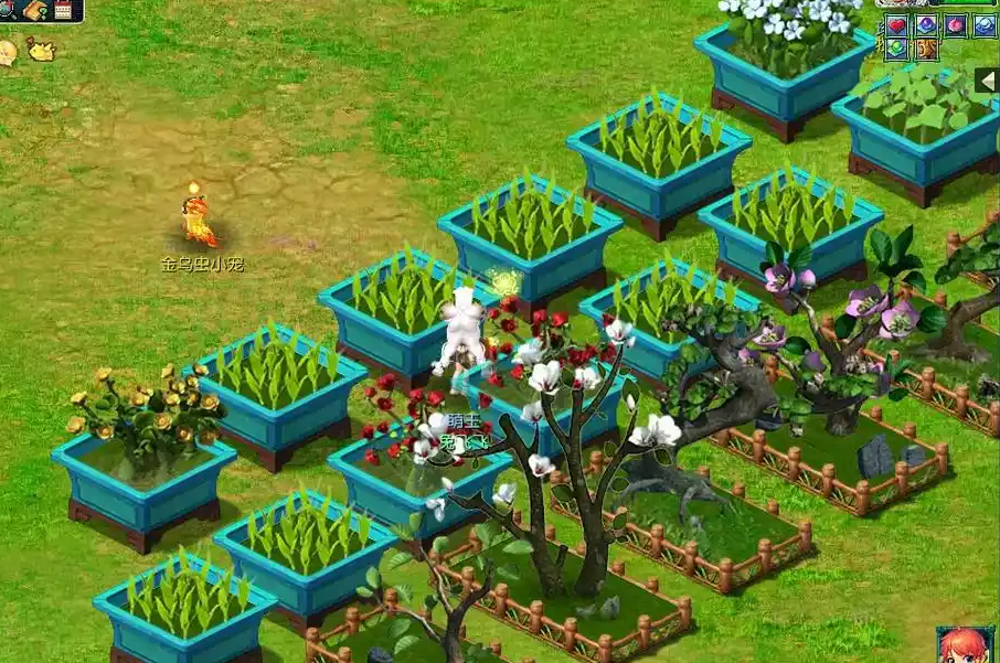 梦幻西游怎么种花