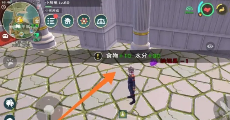 创造与魔法纳坦果有什么用