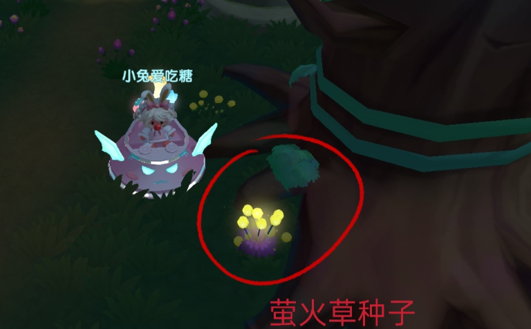 摩尔庄园怎么得到萤火草