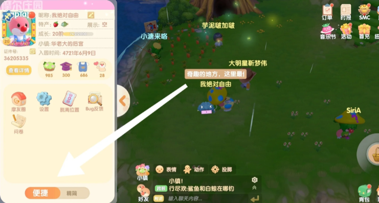 摩尔庄园浆果丛林怎么放向导桌