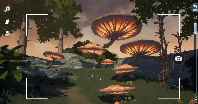 全民奇迹2精灵圣树在哪