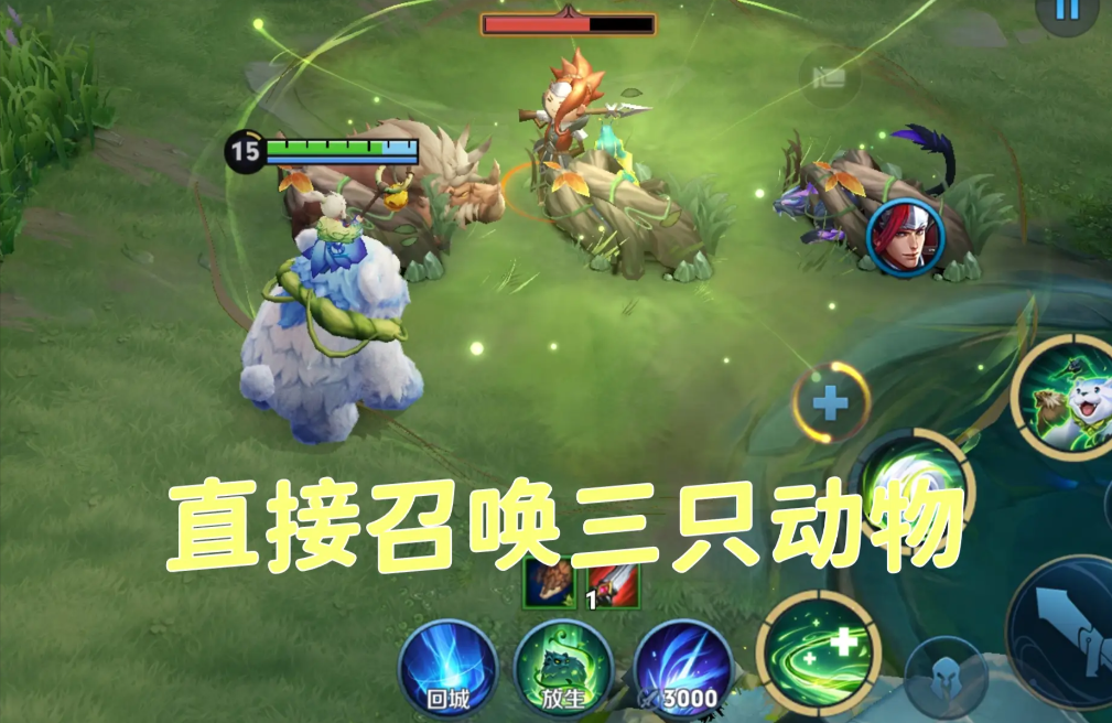 王者荣耀体系阿古朵怎么出装