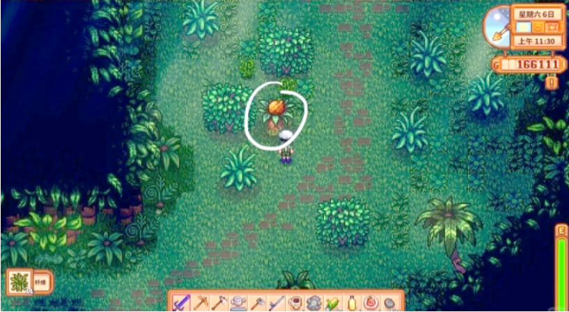 星露谷物语金色核桃怎么获得