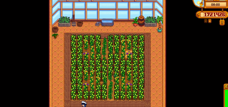 星露谷物语怎么样最赚钱