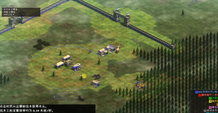 帝国时代2难度有什么区别